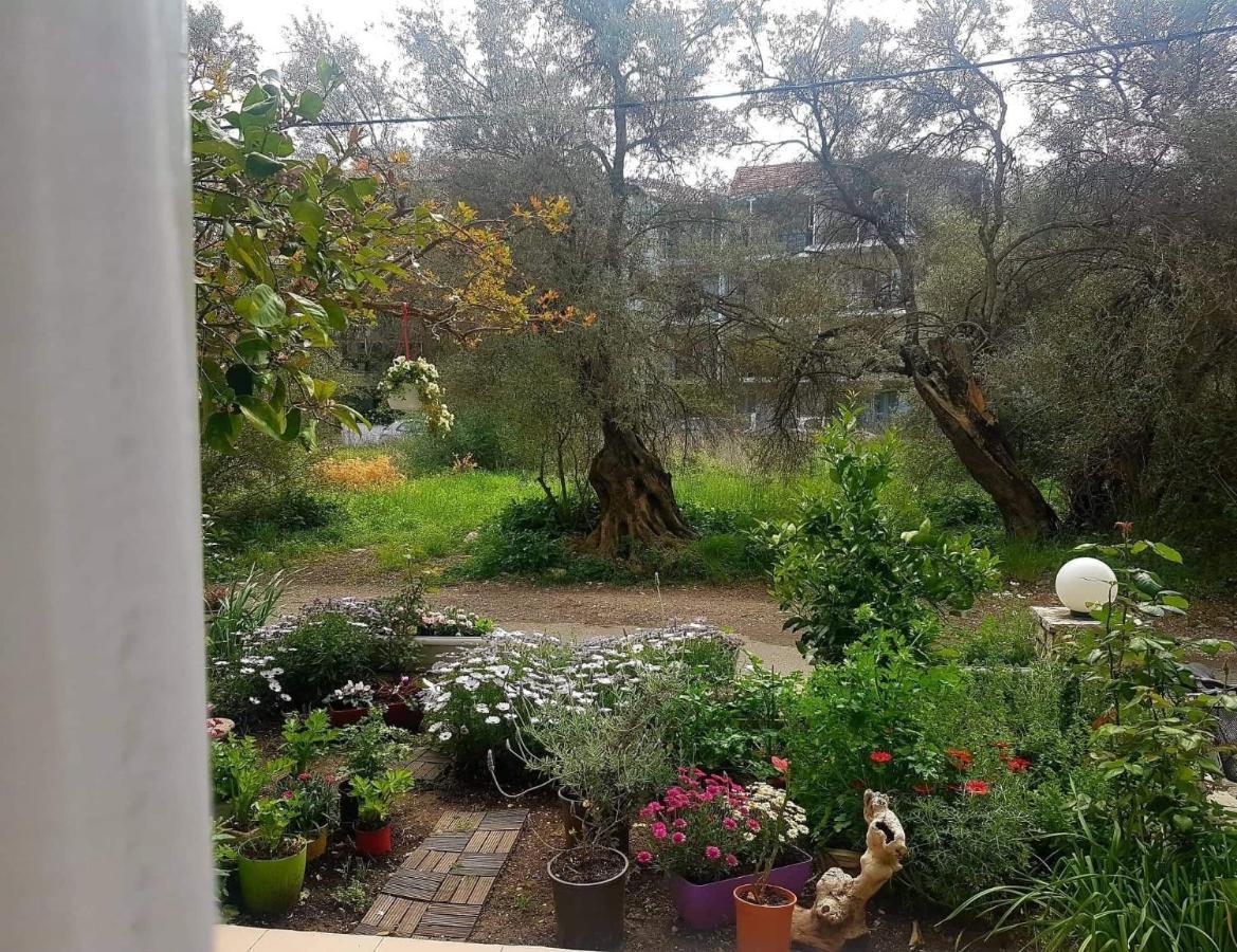Efi'S Studio Lefkada City Luaran gambar