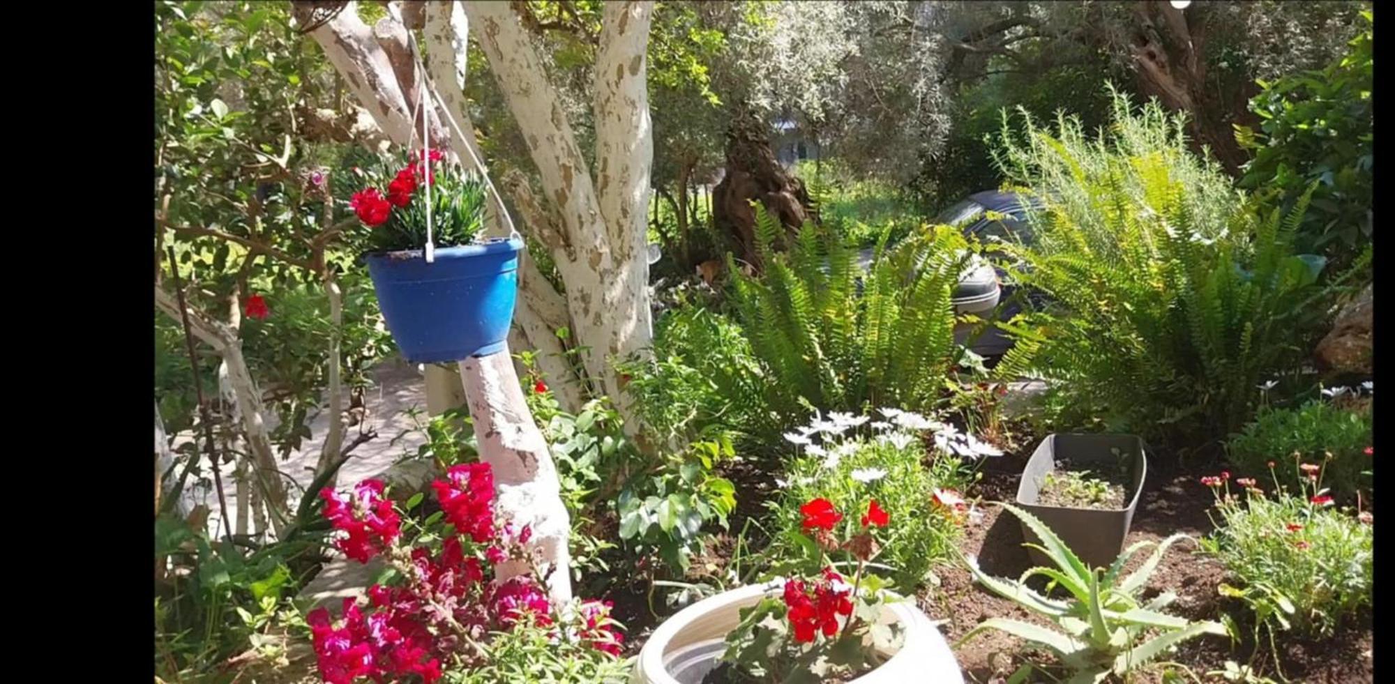 Efi'S Studio Lefkada City Luaran gambar